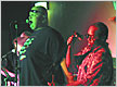 Foto-Thumbnail